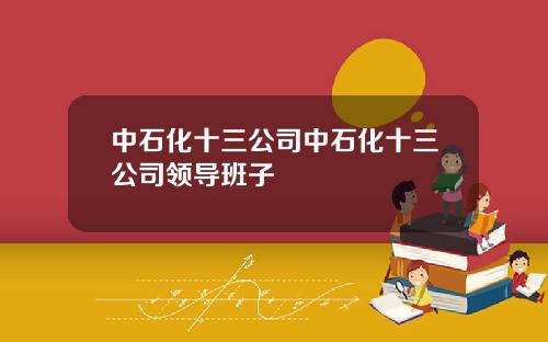 中石化十三公司中石化十三公司领导班子