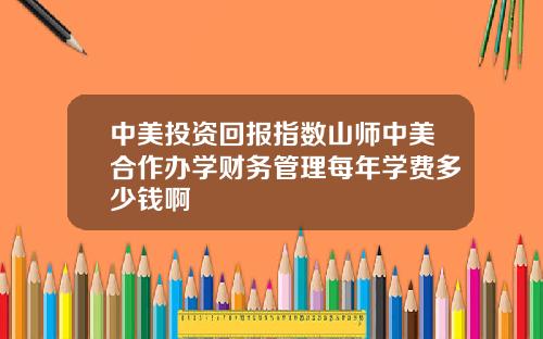 中美投资回报指数山师中美合作办学财务管理每年学费多少钱啊