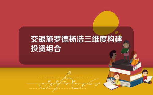 交银施罗德杨浩三维度构建投资组合