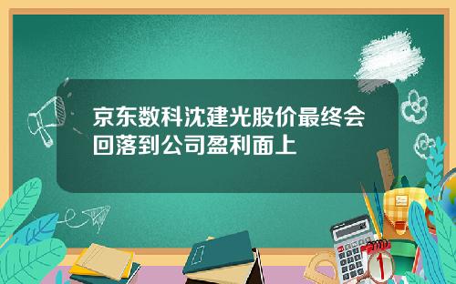 京东数科沈建光股价最终会回落到公司盈利面上