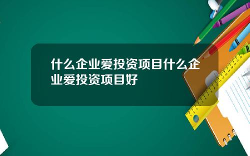 什么企业爱投资项目什么企业爱投资项目好