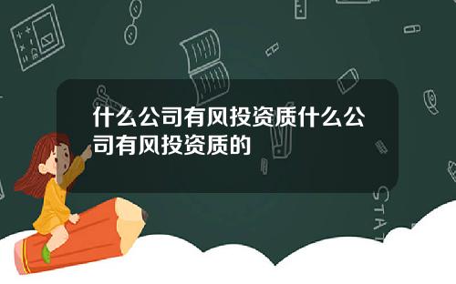 什么公司有风投资质什么公司有风投资质的