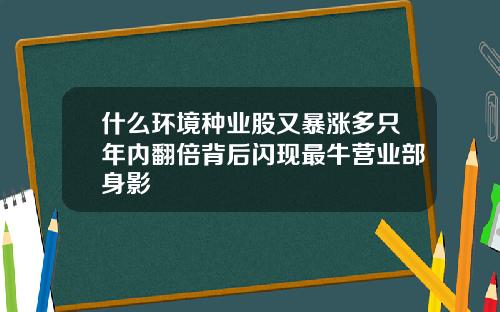 什么环境种业股又暴涨多只年内翻倍背后闪现最牛营业部身影