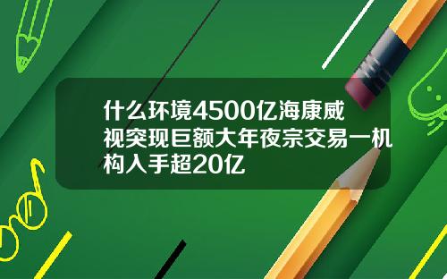 什么环境4500亿海康威视突现巨额大年夜宗交易一机构入手超20亿