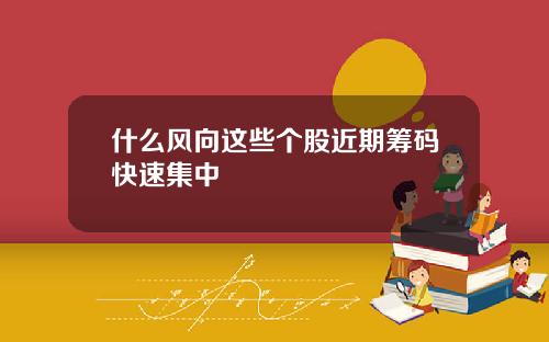 什么风向这些个股近期筹码快速集中