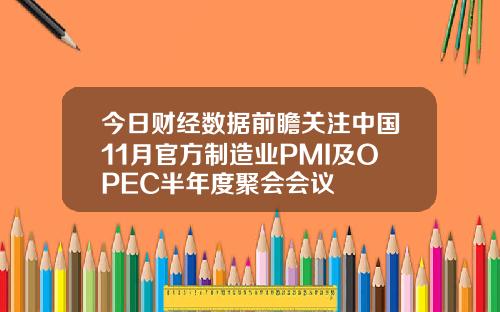 今日财经数据前瞻关注中国11月官方制造业PMI及OPEC半年度聚会会议