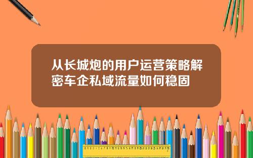 从长城炮的用户运营策略解密车企私域流量如何稳固