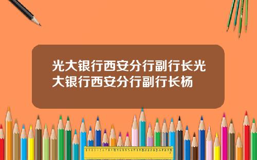 光大银行西安分行副行长光大银行西安分行副行长杨