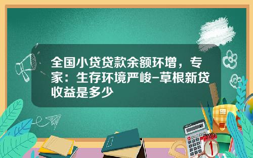全国小贷贷款余额环增，专家：生存环境严峻-草根新贷收益是多少