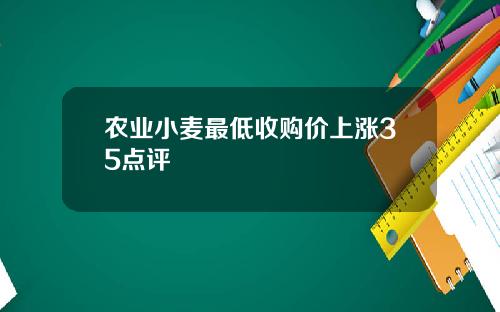 农业小麦最低收购价上涨35点评