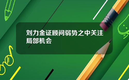 刘力金证顾问弱势之中关注局部机会