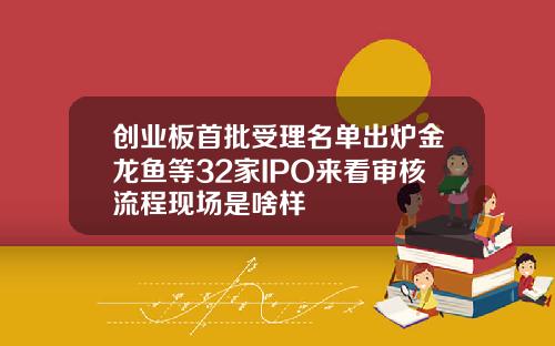 创业板首批受理名单出炉金龙鱼等32家IPO来看审核流程现场是啥样