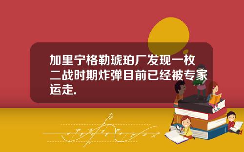 加里宁格勒琥珀厂发现一枚二战时期炸弹目前已经被专家运走.