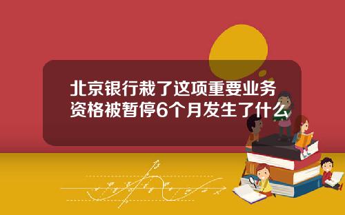 北京银行栽了这项重要业务资格被暂停6个月发生了什么