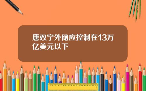 唐双宁外储应控制在13万亿美元以下