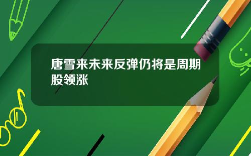 唐雪来未来反弹仍将是周期股领涨