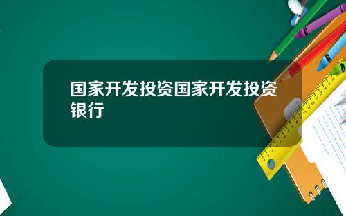 国家开发投资国家开发投资银行
