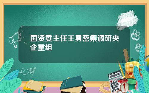 国资委主任王勇密集调研央企重组