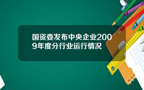 国资委发布中央企业2009年度分行业运行情况