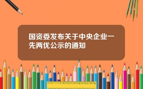 国资委发布关于中央企业一先两优公示的通知