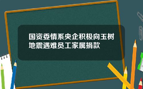 国资委情系央企积极向玉树地震遇难员工家属捐款