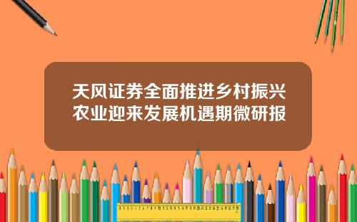 天风证券全面推进乡村振兴农业迎来发展机遇期微研报