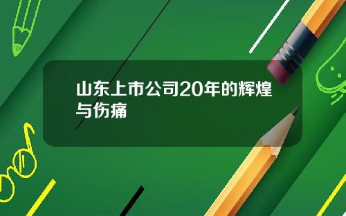 山东上市公司20年的辉煌与伤痛