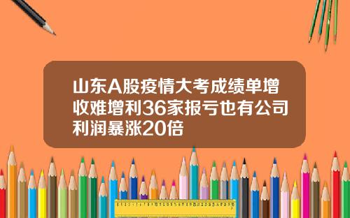 山东A股疫情大考成绩单增收难增利36家报亏也有公司利润暴涨20倍
