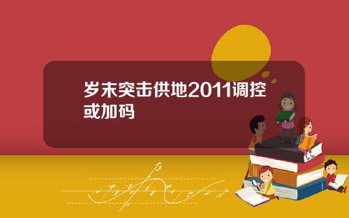 岁末突击供地2011调控或加码