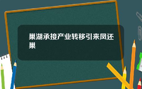 巢湖承接产业转移引来凤还巢