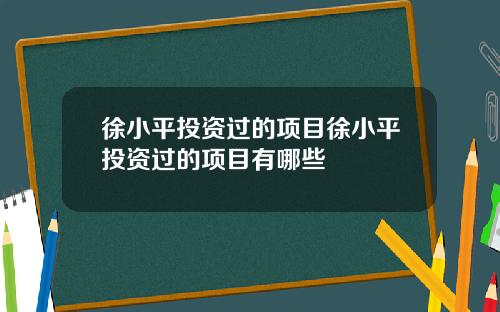 徐小平投资过的项目徐小平投资过的项目有哪些
