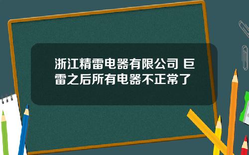 浙江精雷电器有限公司 巨雷之后所有电器不正常了