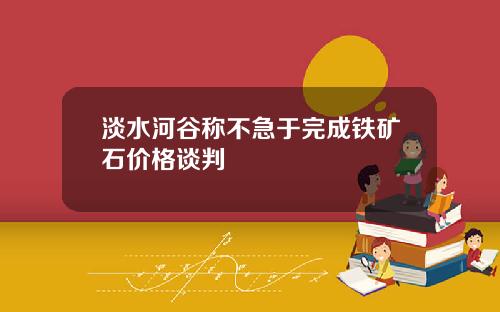 淡水河谷称不急于完成铁矿石价格谈判
