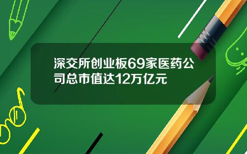 深交所创业板69家医药公司总市值达12万亿元