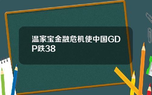 温家宝金融危机使中国GDP跌38