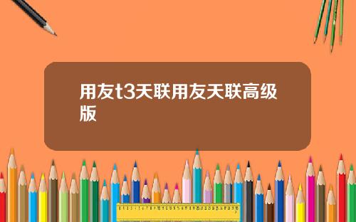 用友t3天联用友天联高级版