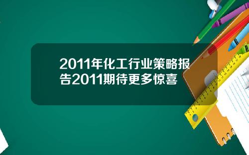 2011年化工行业策略报告2011期待更多惊喜