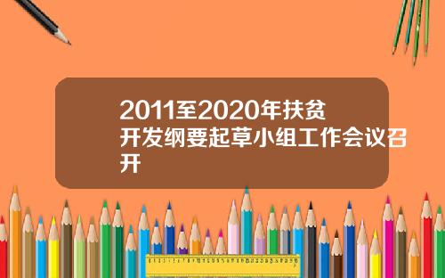 2011至2020年扶贫开发纲要起草小组工作会议召开