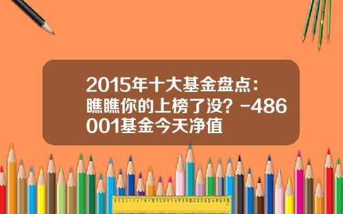 2015年十大基金盘点：瞧瞧你的上榜了没？-486001基金今天净值