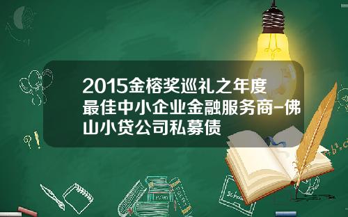 2015金榕奖巡礼之年度最佳中小企业金融服务商-佛山小贷公司私募债