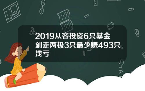 2019从容投资6只基金剑走两极3只最少赚493只浅亏