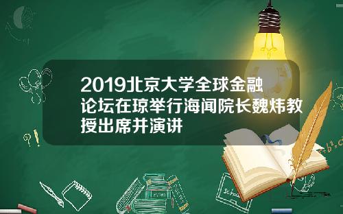 2019北京大学全球金融论坛在琼举行海闻院长魏炜教授出席并演讲