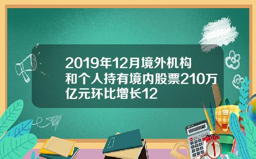 2019年12月境外机构和个人持有境内股票210万亿元环比增长12