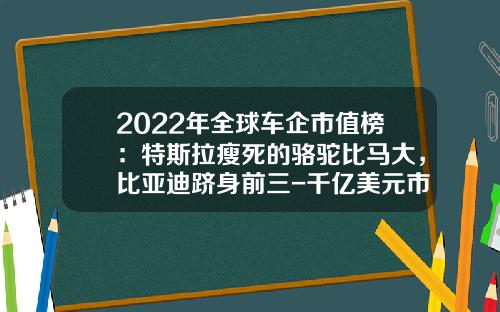 2022年全球车企市值榜:特斯拉瘦死的骆驼比马大,比亚迪跻身前三-千亿美元市值公司【新闻】
