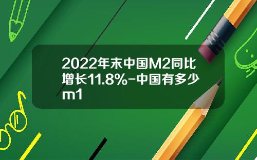 2022年末中国M2同比增长11.8%-中国有多少m1