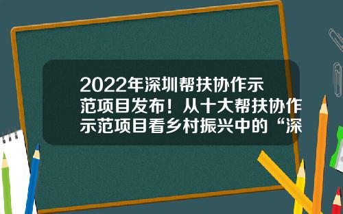 2022年深圳帮扶协作示范项目发布！从十大帮扶协作示范项目看乡村振兴中的“深圳力量”-上海中峰实业有限公司