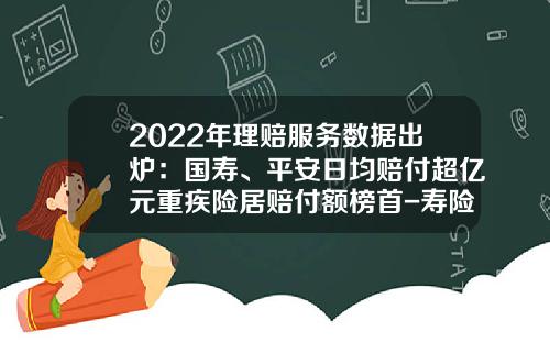 2022年理赔服务数据出炉：国寿、平安日均赔付超亿元重疾险居赔付额榜首-寿险公司赔付率