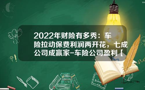 2022年财险有多秀:车险拉动保费利润两开花,七成公司成赢家-车险公司盈利【新闻】