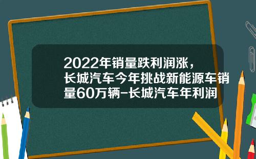 2022年销量跌利润涨，长城汽车今年挑战新能源车销量60万辆-长城汽车年利润多少【新闻】