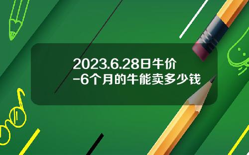 2023.6.28日牛价-6个月的牛能卖多少钱